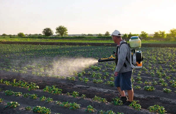 A worker with a sprayer works in the field. Use of chemicals for protection of cultivated plants from insects and fungal infections. Pesticides and fungicides. Agriculture and agro industry. Farm work