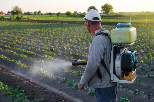 A farmer with a mist fogger sprayer sprays fungicide and pesticide on potato bushes. Protection of cultivated plants from insects and fungal infections. Use of chemicals for crop protection