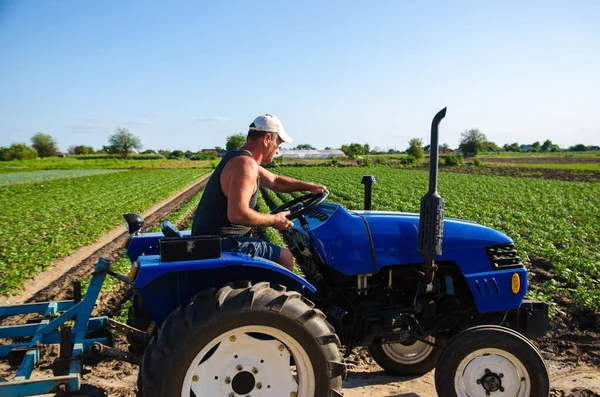 Granjero Conduce Tractor Granja Agroindustria Agroindustria Conductor Masculino Trabaja Campo —  Fotos de Stock