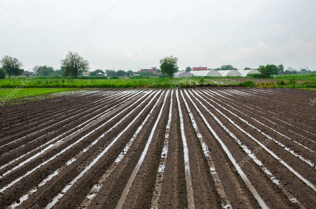Farm field is flooded with heavy torrential rains. Destruction of crops and damage to agriculture. Unstable weather, strong showers and storms. Damage to farms and the agroindustry. Farming, landscape