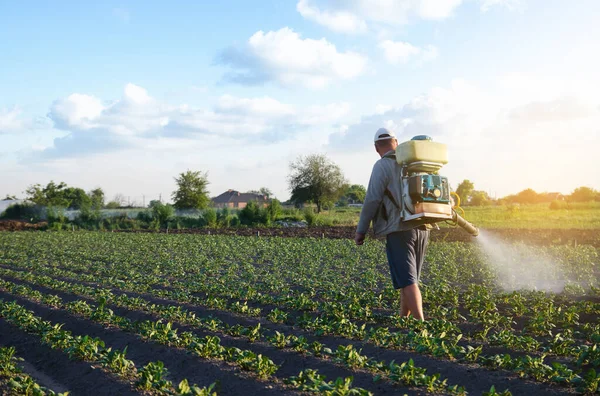 Farmář Mlžným Postřikovačem Rozprašuje Fungicid Pesticid Keře Brambor Účinná Ochrana — Stock fotografie