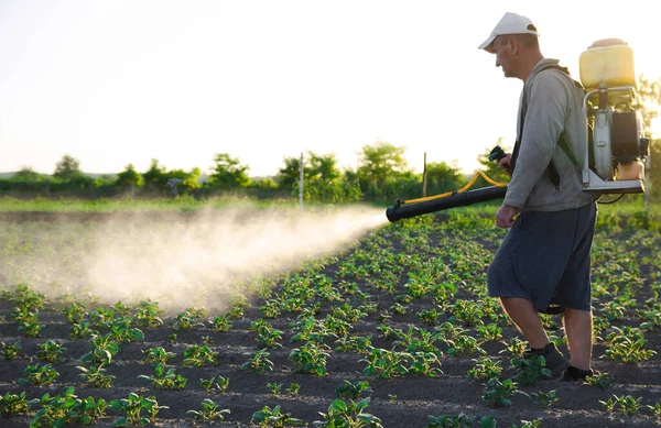 Agricultor Com Spray Mochila Trata Plantação Com Pesticidas Proteção Plantas — Fotografia de Stock