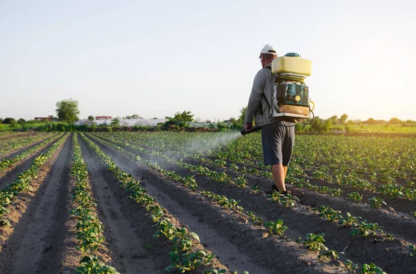 Farmář Batohem Rozprašuje Fungicid Pesticid Keře Brambor Ochrana Pěstovaných Rostlin — Stock fotografie