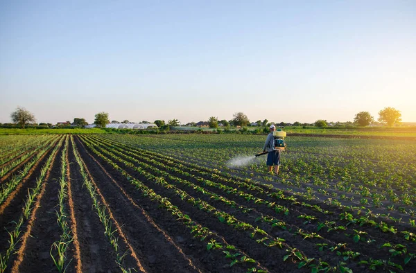 Farmář Rozstřikuje Plantáž Pesticidy Odolnost Plodin Proti Škůdcům Chemický Průmysl — Stock fotografie