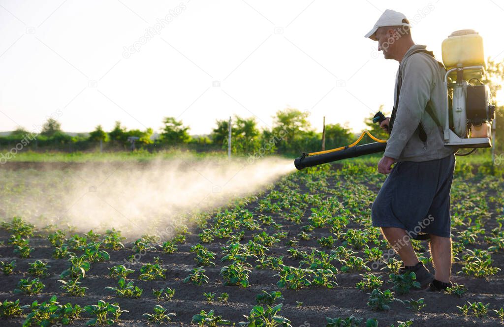 A farmer with a backpack spray treats the plantation with pesticides. Protection of plants from insects and fungal infections. Resistance of the crop to pests. Chemical industry in farming agriculture