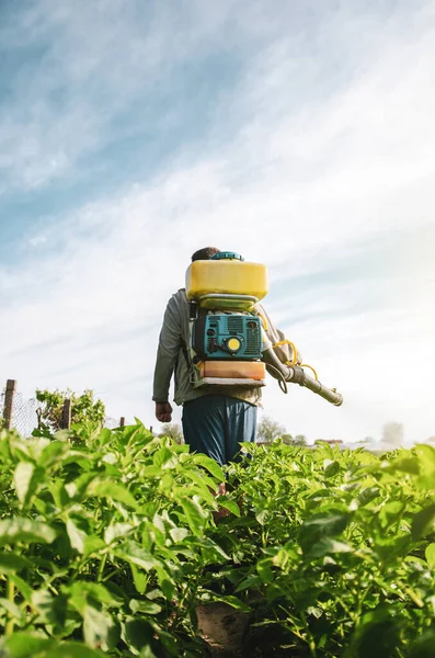Seorang Petani Dalam Meriam Penyemprot Udara Menyemprotkan Tanaman Kentang Sprayer — Stok Foto