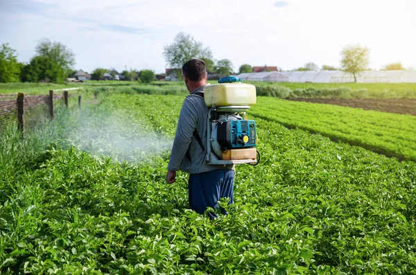 Seorang Petani Menyemprotkan Pestisida Perkebunan Penggunaan Bahan Kimia Untuk Perlindungan — Stok Foto