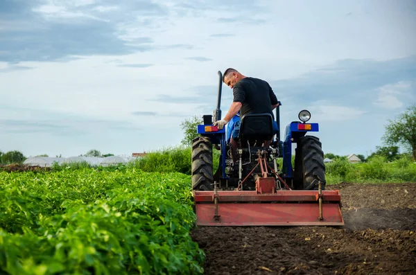 Agricultor Tractor Retira Las Tapas Después Cosecha Desarrollo Economía Agrícola —  Fotos de Stock