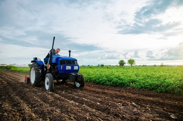 Granjero Está Cultivando Campo Cultivo Trabajador Estacional Contratación Trabajadores Con —  Fotos de Stock