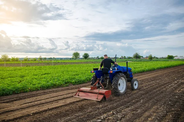 A man farmer works in a farm field. Cultivating the soil before planting a new crop. Milling, crushing and loosening ground. Farming. Agriculture agribusiness. Recruiting workers with driving skills