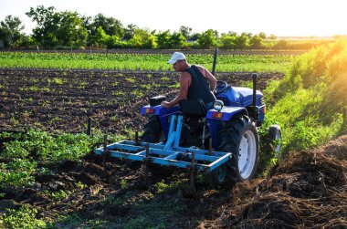 Traktördeki çiftçi bir patates çiftliği yetiştiriyor. Çiftlik bakımı. Çiftlik makineleri. Toprağı sürme ve gevşetme. Toprak kalitesi yükseliyor. Agronomi. Tarım endüstrisi ve tarım sektörü. Tarım arazisi