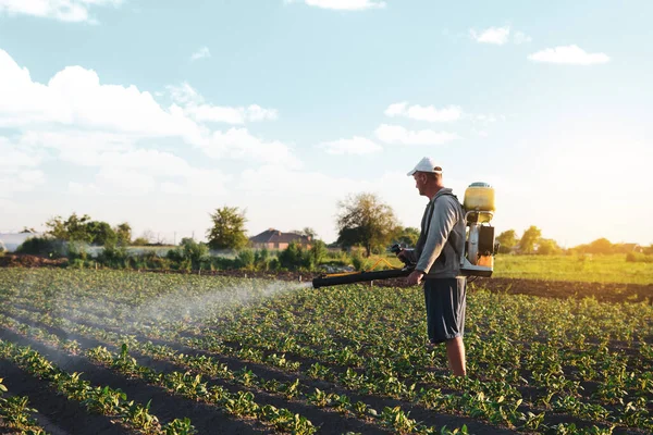Agricultor Pulveriza Pesticidas Plantação Uso Produtos Químicos Para Proteção Plantas — Fotografia de Stock