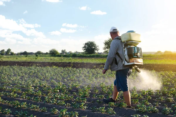 Agricultor Pulveriza Uma Plantação Batata Com Pulverizador Tratamento Químico Pulverizador — Fotografia de Stock