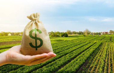 Dollar money bag on farm field. Lending and subsidizing farmers. Grants, financial support. Agribusiness profit. Land tax. Agricultural startups. Secured loan. Investment. Land value valuation. clipart