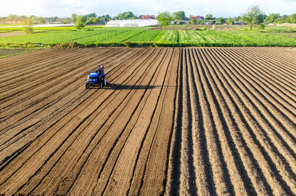 Traktor Poli Práce Farmě Frézování Půdy Změkčení Půdy Před Výsadbou — Stock fotografie