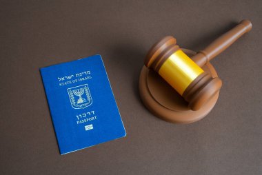İsrail pasaportu ve yargıç tokmağı. Mahkeme ve vatandaşların haklarının korunması. Vize yönetmeliği ve göçmen kolluk kuvvetleri. Vatandaşlık ve oturma hakkı.