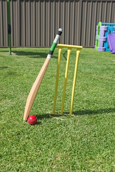 Backyard Cricket - Schlägerball und Baumstümpfe — Stockfoto