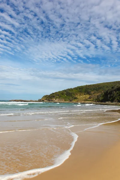 Frazer park - zentralküste nsw australien — Stockfoto