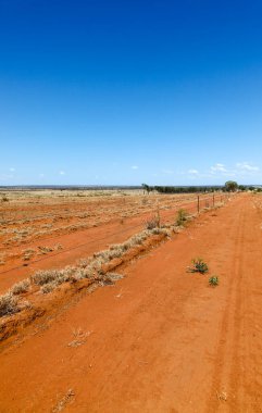 Orta Queensland 'da Charters Kulelerinin güneyinde turuncu kuraklık yaşandı. Avustralya Taşrası.