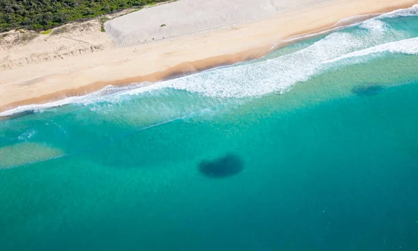 มมองทางอากาศของสองโรงเร ยนขนาดใหญ ของปลาแซลมอนออสเตรเล ยบนชายหาดช างต เหล กใต ของน วคาสเซ Nsw — ภาพถ่ายสต็อก
