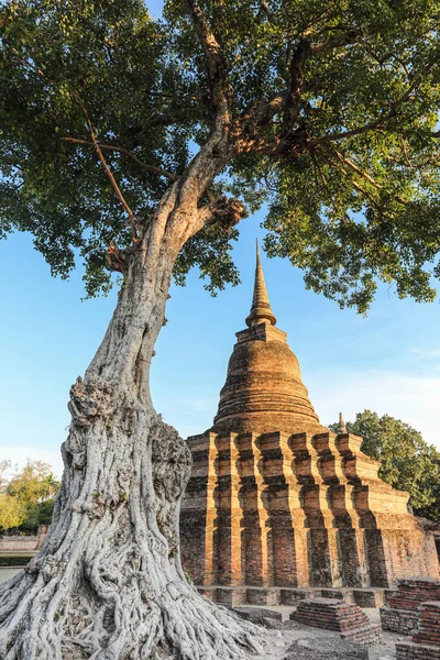 Stupa Wat Mahathat Sukhothai Tailândia Sukhothai Foi Capital Século Xiii — Fotografia de Stock
