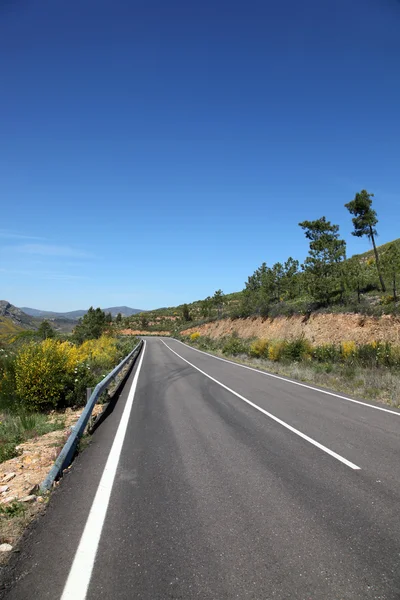 Camino abierto — Foto de Stock