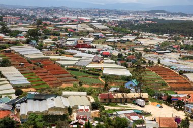 Dalat - vietnam - kentsel büyüme tarım karşı