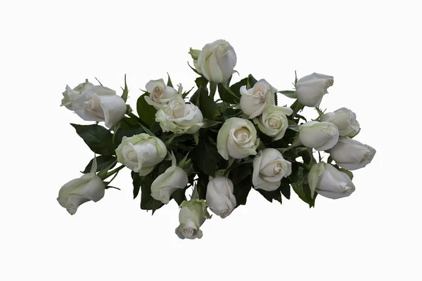 Bouquet Roses Blanches Isolé Sur Blanc — Photo