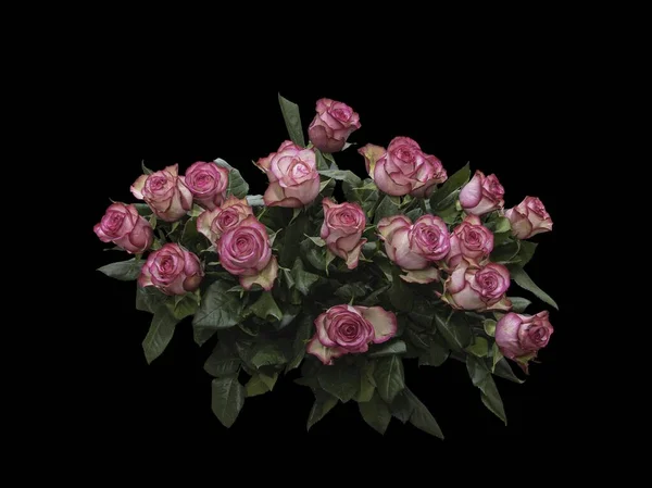 Bouquet Roses Sur Fond Noir — Photo