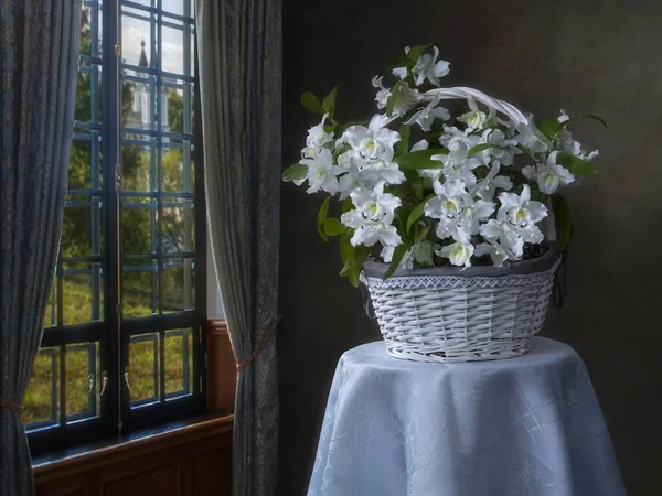 Bodegón Con Una Cesta Orquídeas Cerca Ventana — Foto de Stock