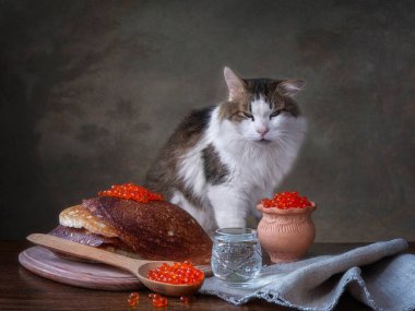 Krepler ve komik kedilerle dolu bir hayat