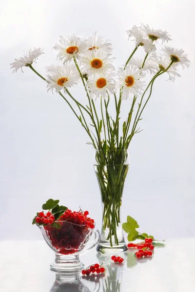 Bodegón Con Ramo Flores Margarita — Foto de Stock