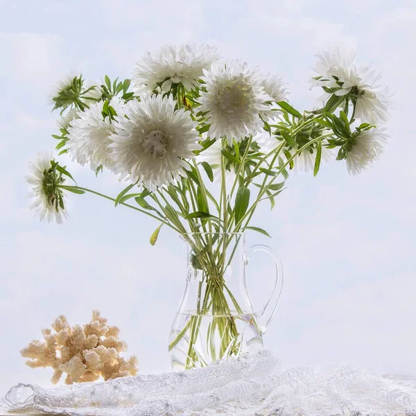 Ramo Delicadas Flores Hermosas Fondo Del Cielo — Foto de Stock