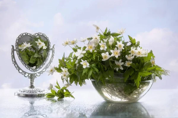 Natureza Morta Com Buquê Anêmonas Primavera — Fotografia de Stock