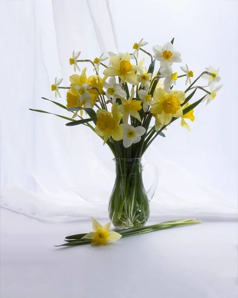 Primavera Floral Ainda Vida Fundo Branco — Fotografia de Stock