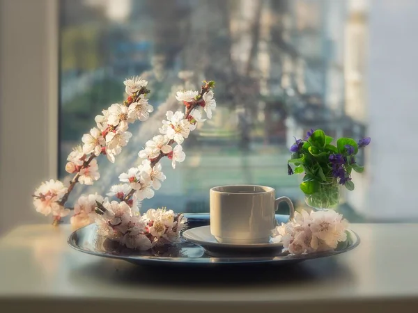 用开花的枝条作成的晨咖啡 — 图库照片