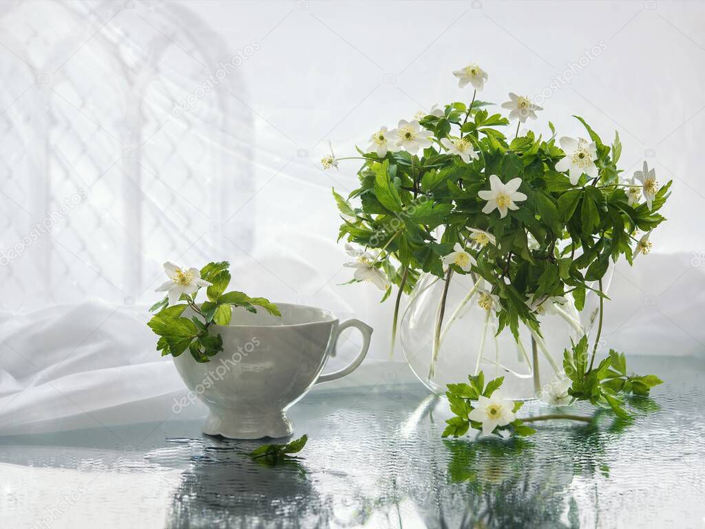 Still life with bouquet of spring anemones