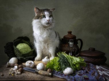 Sebzelerle ve meraklı kedilerle dolu bir hayat