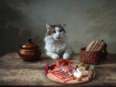 Şirin, tüylü bir kedi yemek masasında oturuyor..