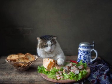 Masadan peynir çalan komik kedi.