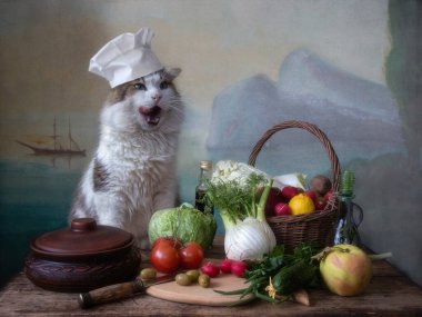  Akdeniz vejetaryeni aşçı şapkasındaki kediyle