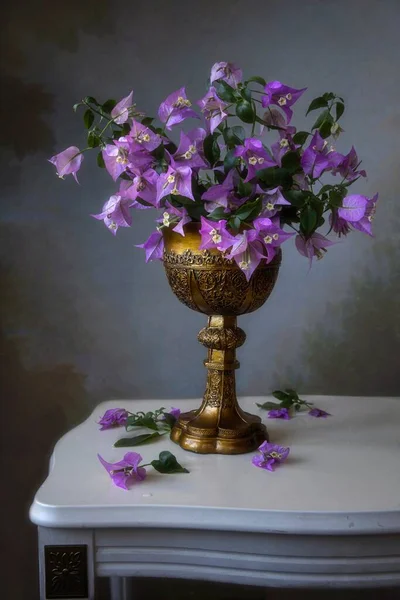Νεκρή Φύση Λουλούδια Μπουκαμβίλιας Στο Βάζο — Φωτογραφία Αρχείου