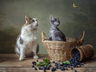 Bir kedi, küçük bir kedi ve uzaklara uçan bir kelebek.