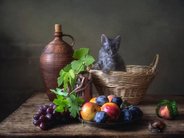 Nature Morte Avec Fruits Escargot Petit Chaton Gris — Photo