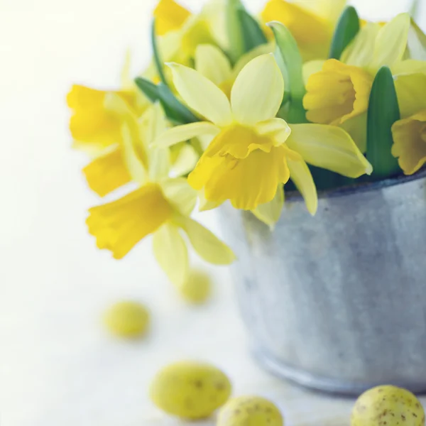 Buket gule påskeliljer - Stock-foto