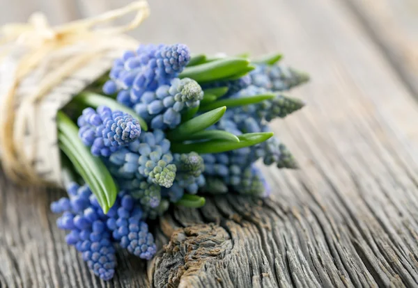 Bouquet of blue muscari — Stock Photo, Image