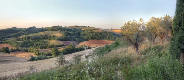 Panorama di un paesaggio toscano al tramonto 2 — Foto Stock