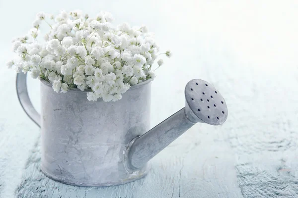 Watering can filled with white flowers — Stock Photo, Image