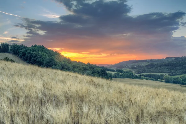 Sunset landskap av Toscanas gröna kullar — Stockfoto