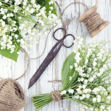 Vadi çiçekleri zambağı